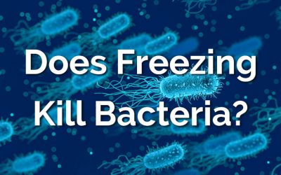 Does Freezing Really Kill Bacteria? – What the Science Says