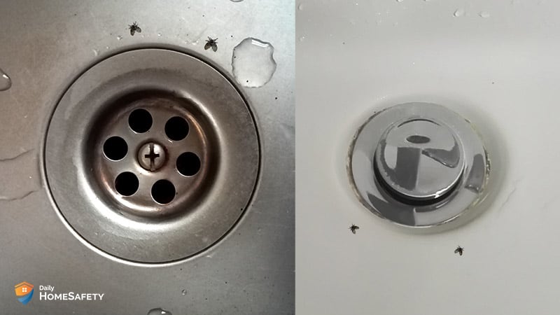 Sink drain with drain flies